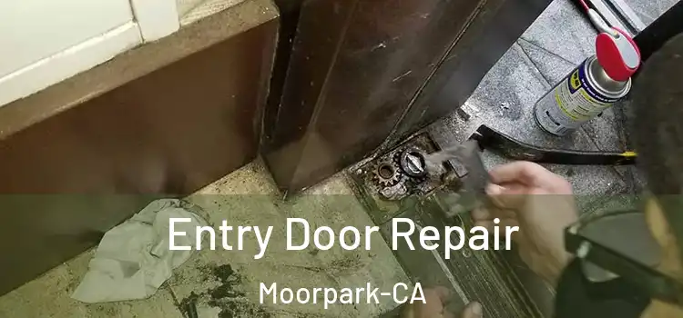  Entry Door Repair Moorpark-CA